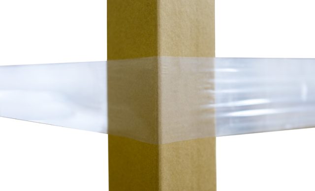 Fascia Elastica