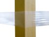 Fascia Elastica