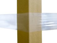 Fascia Elastica