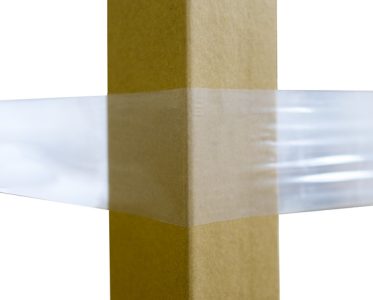 Fascia Elastica